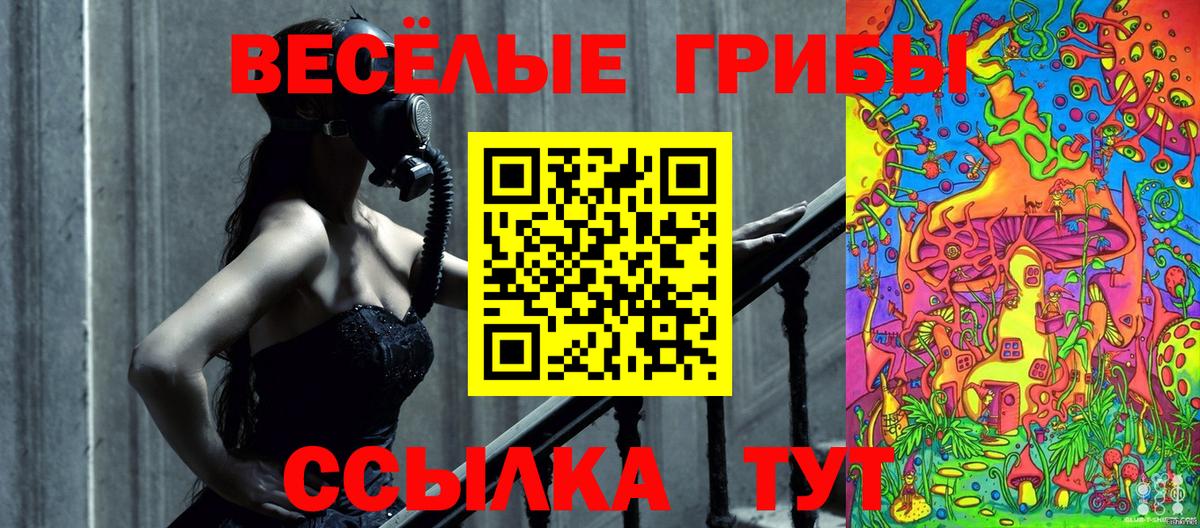 Гулькевичи  Галлюциногенные грибы Psilocybe  Вход с VPN 